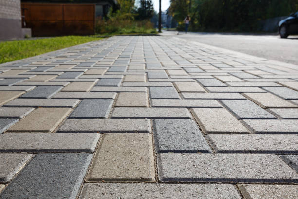 Best Driveway Paving Contractor  in Port Edwards, WI